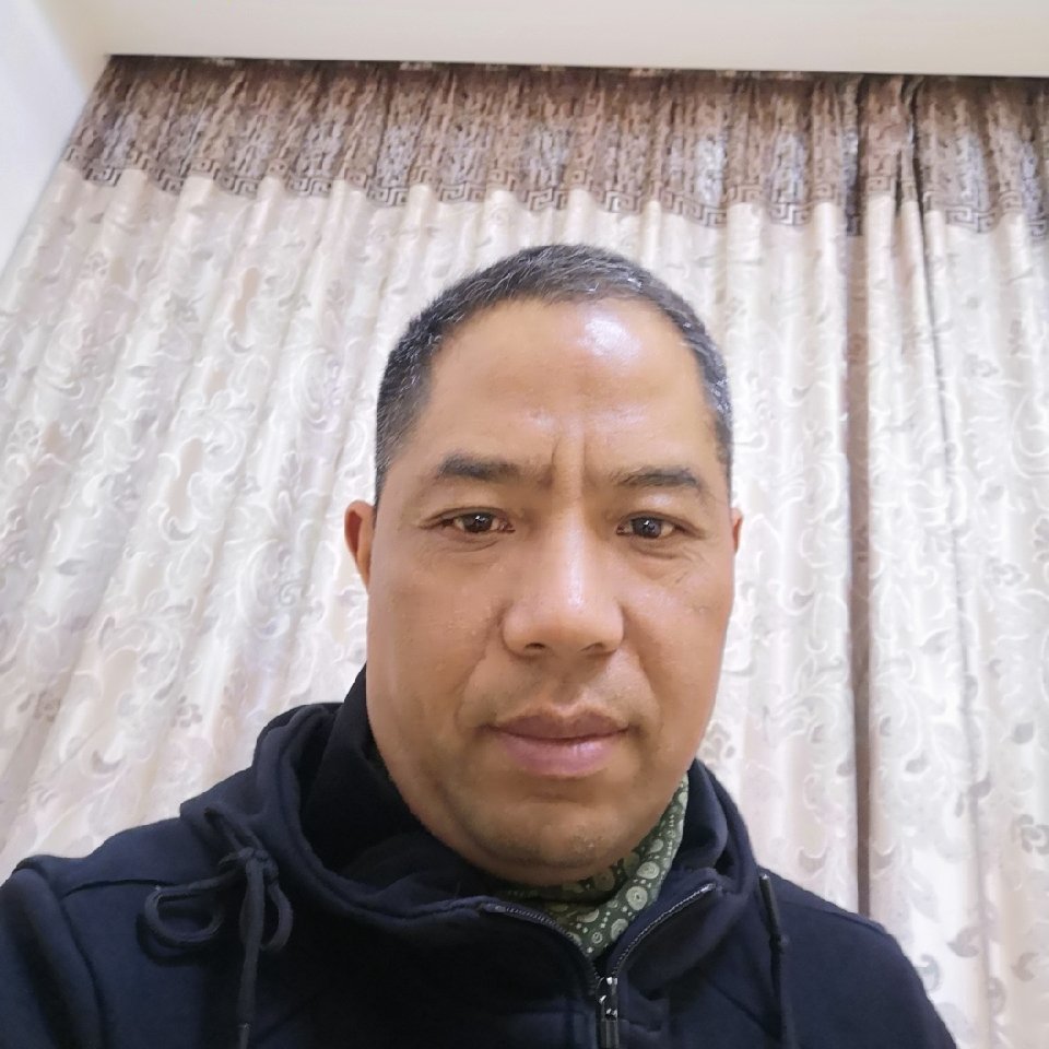 戴臣众