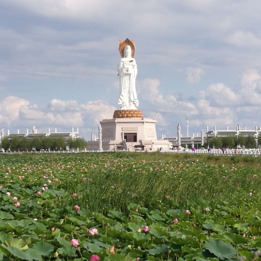 洒家