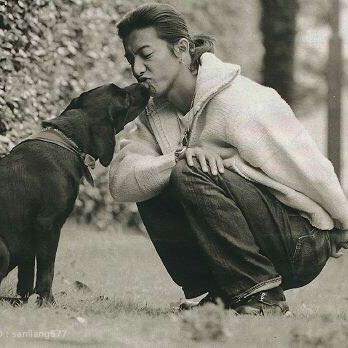 钱塘江上潮信来