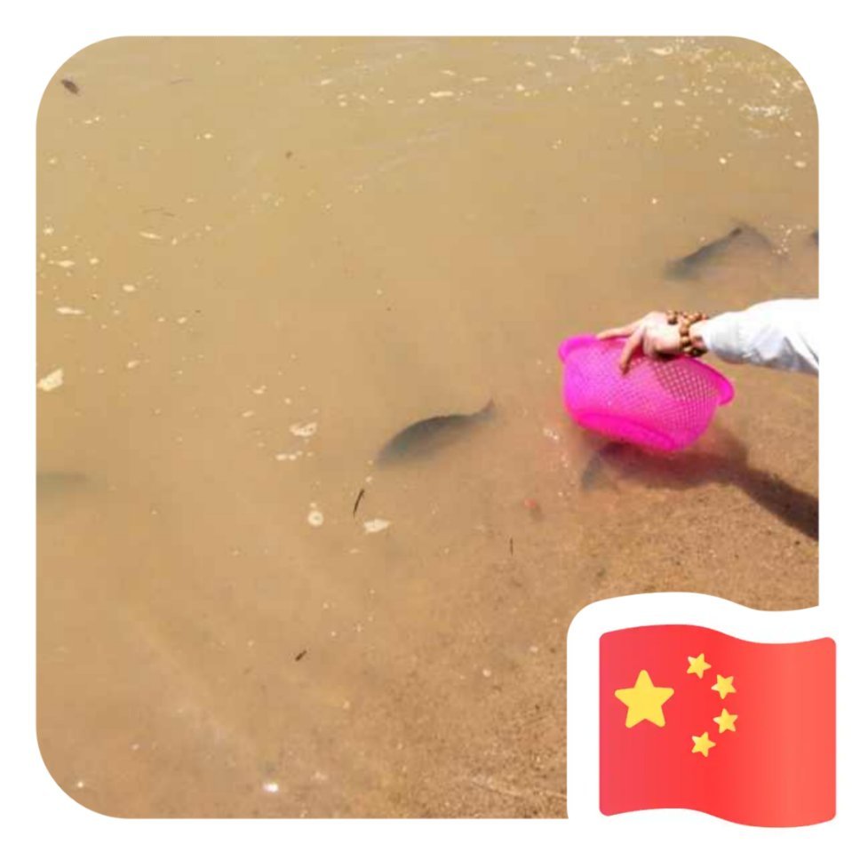 用戶頭像