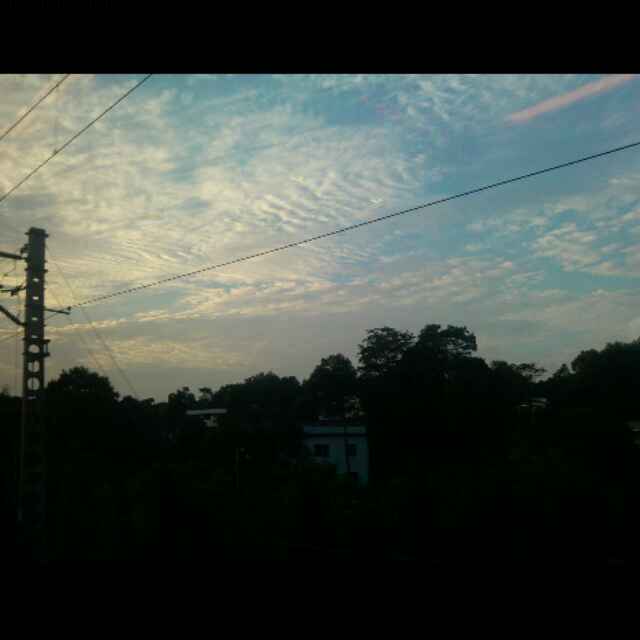 智_tany