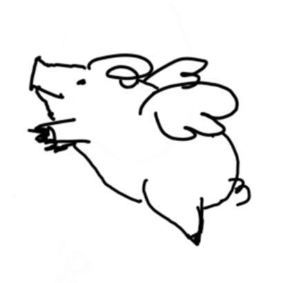 锦鱼
