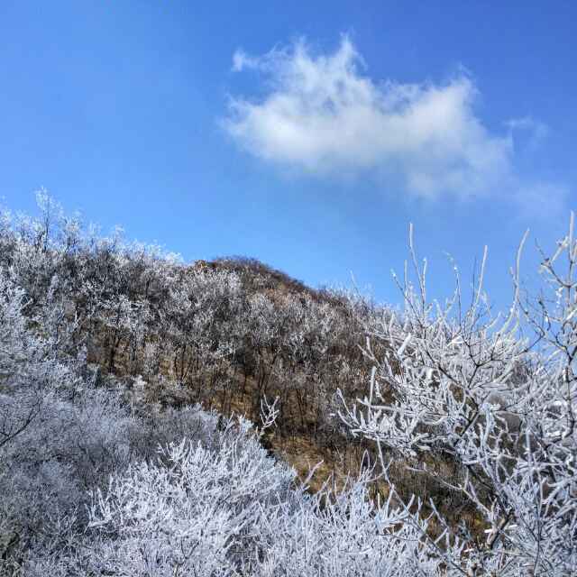 相逢是歌