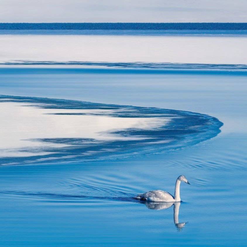 郭海东