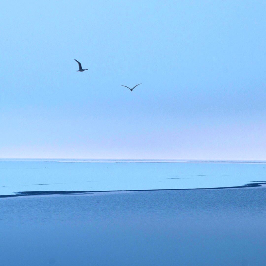 叶青｜有机食品13646871737