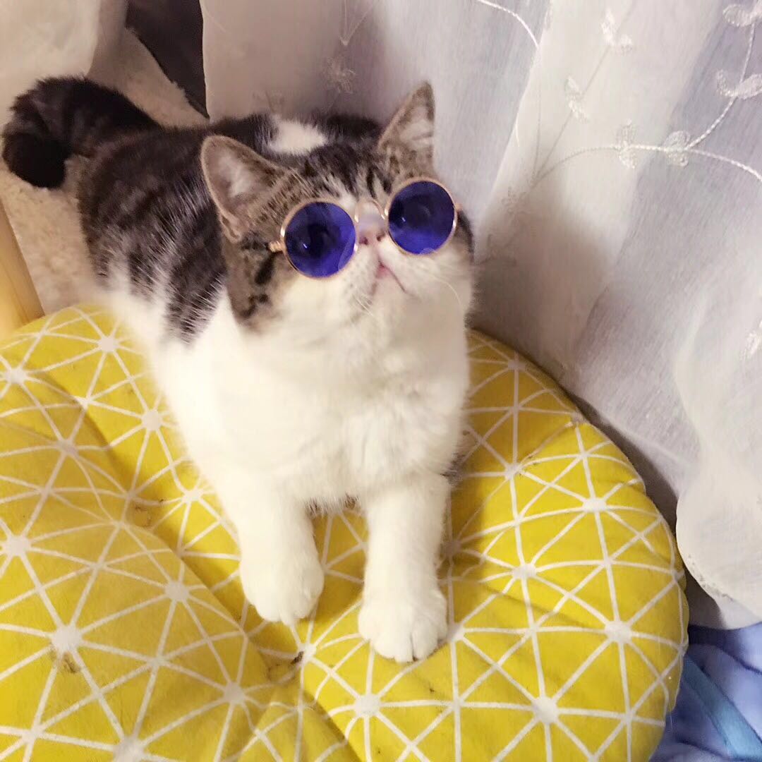 千里驴