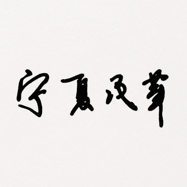 宁夏民革