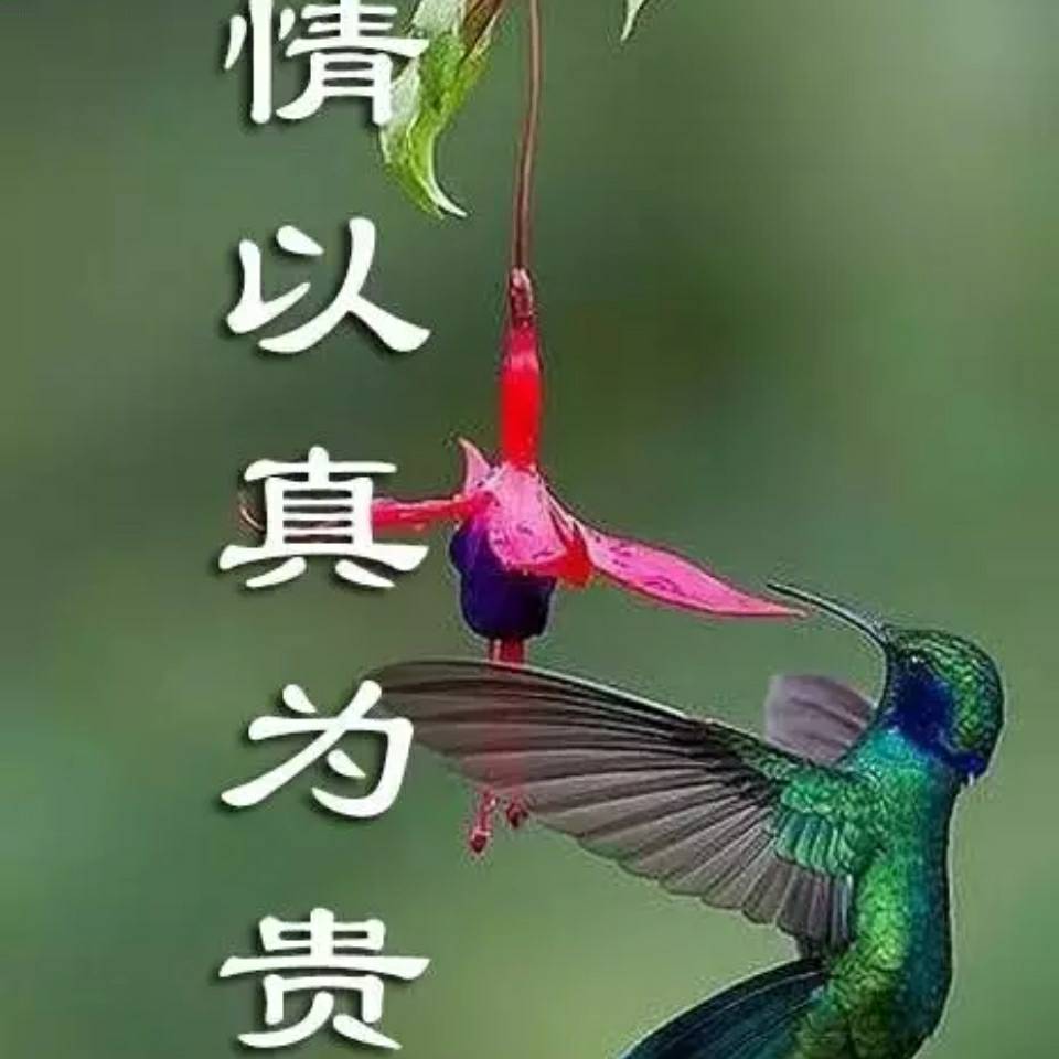 程天乐15288903151