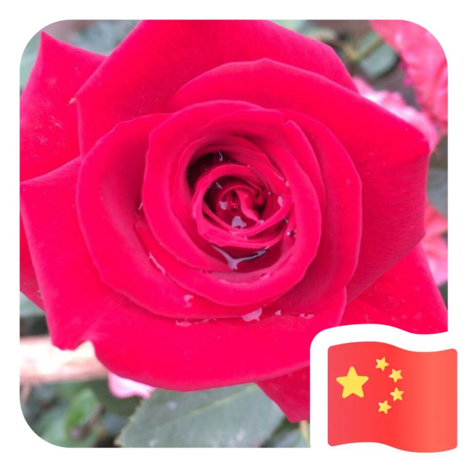 用戶頭像