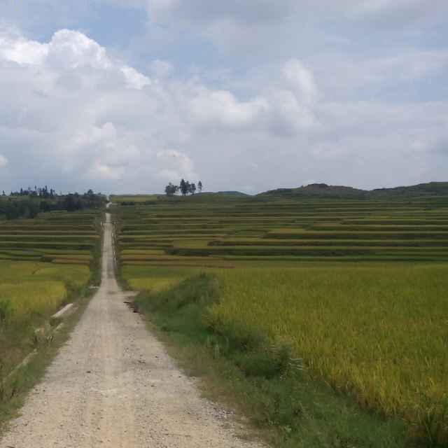 布衣丶Tz