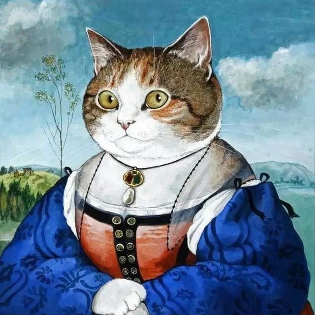 Meow meow五寶
