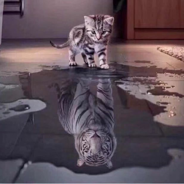 🚄🚃🚃🚃🚃🚃🚃🚃