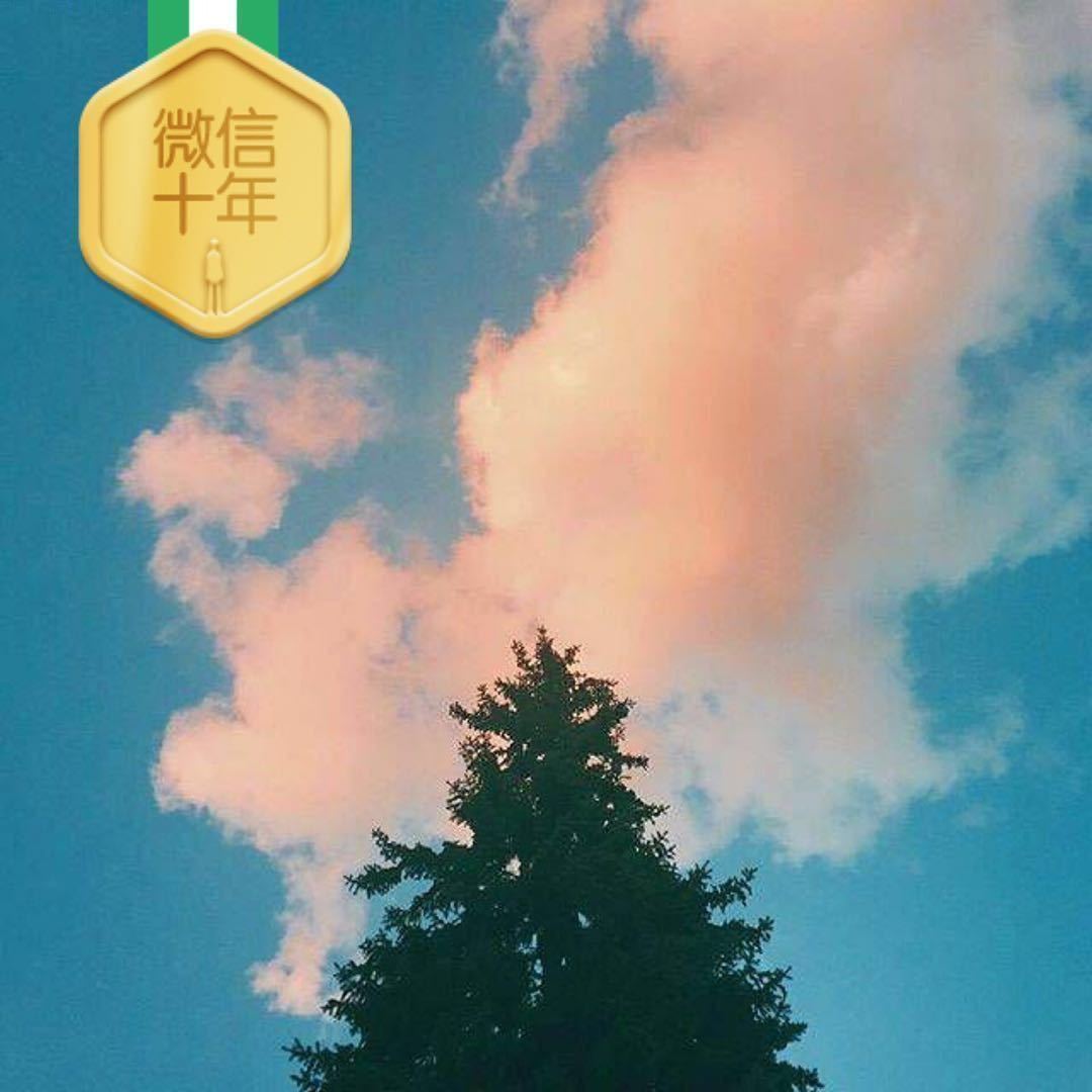 乔晓阳