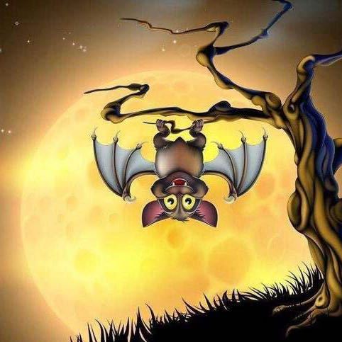 Wendy🦇