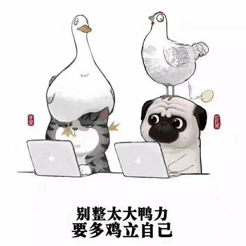 抓住小提莫