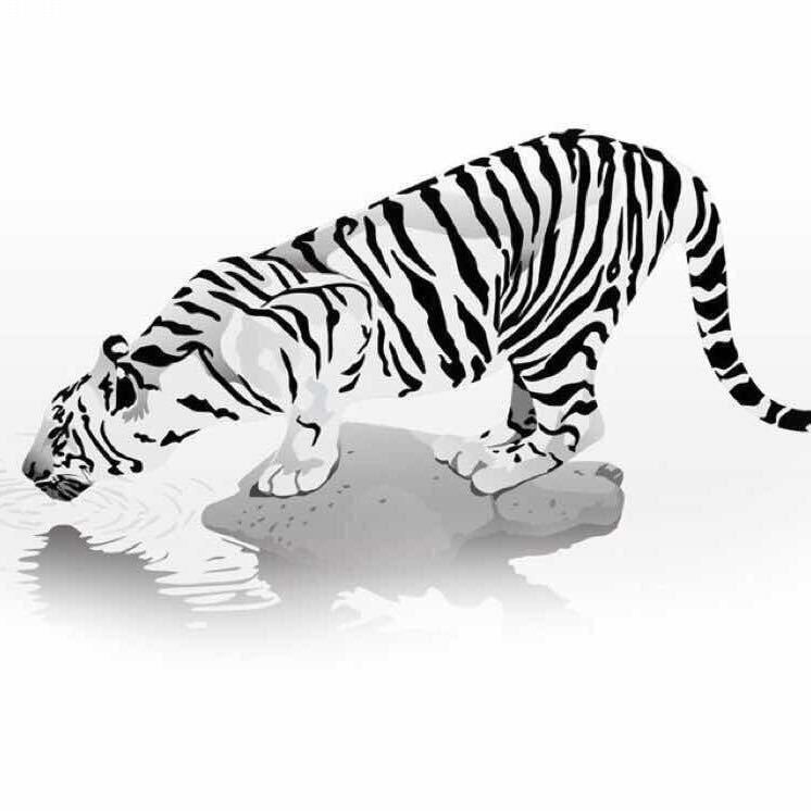 ꯭李꯭宁꯭(MR.Worldwide)