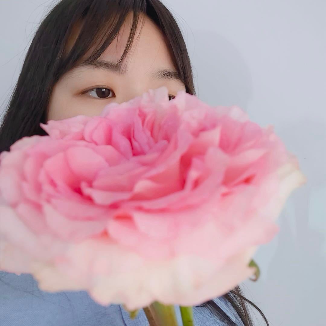 秋天的树
