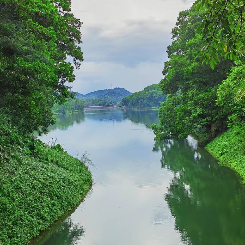 静如水漪