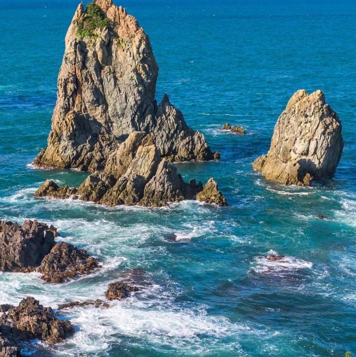 用戶頭像