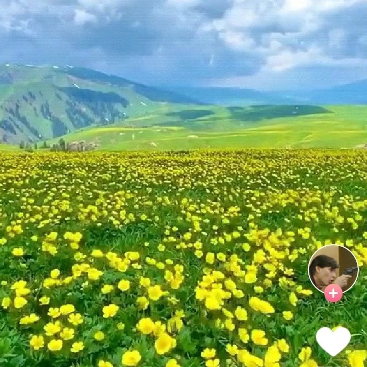 夏天
