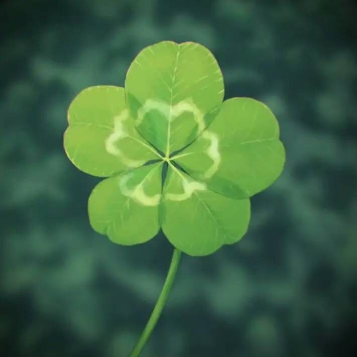 🍀