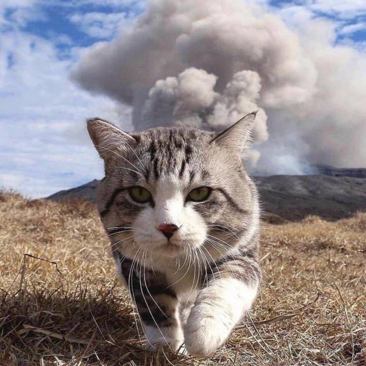 大芮小瑞
