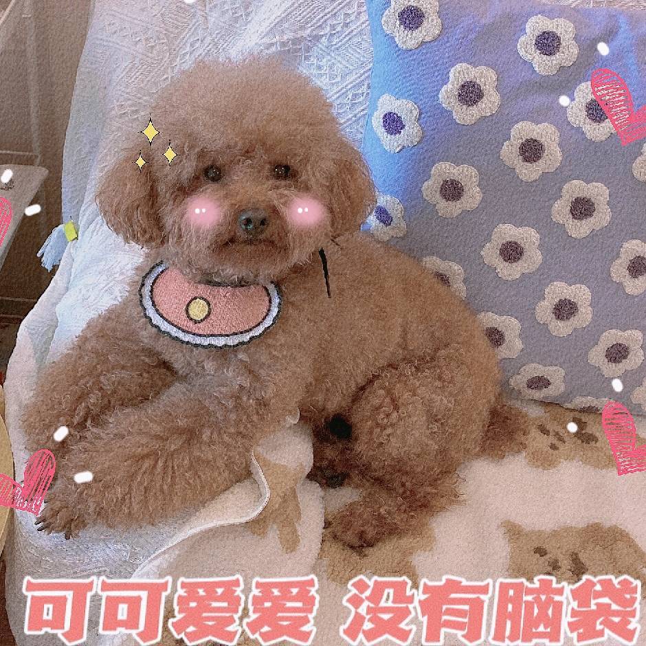 王小健🐻