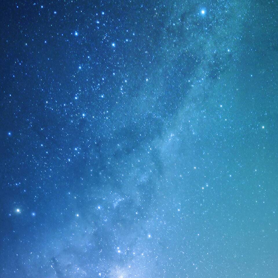 大鱼