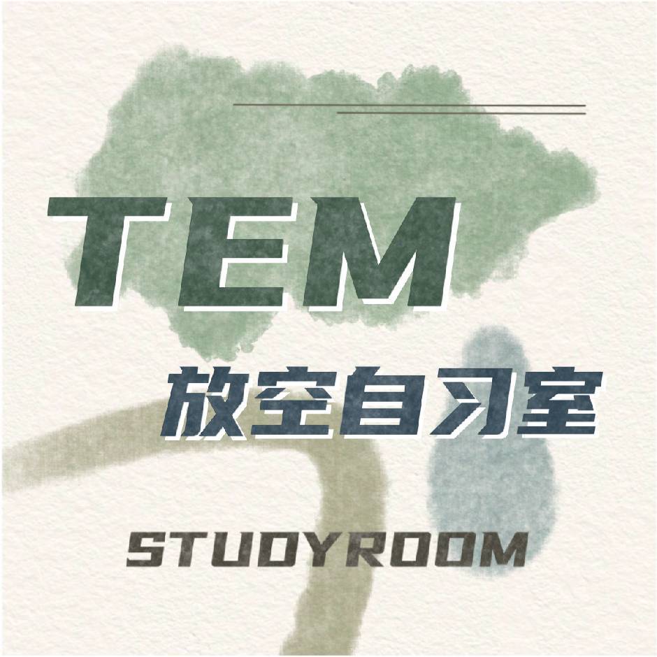 TEM 冰哥