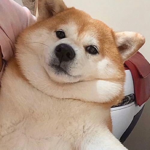 不怕时光留给遗忘