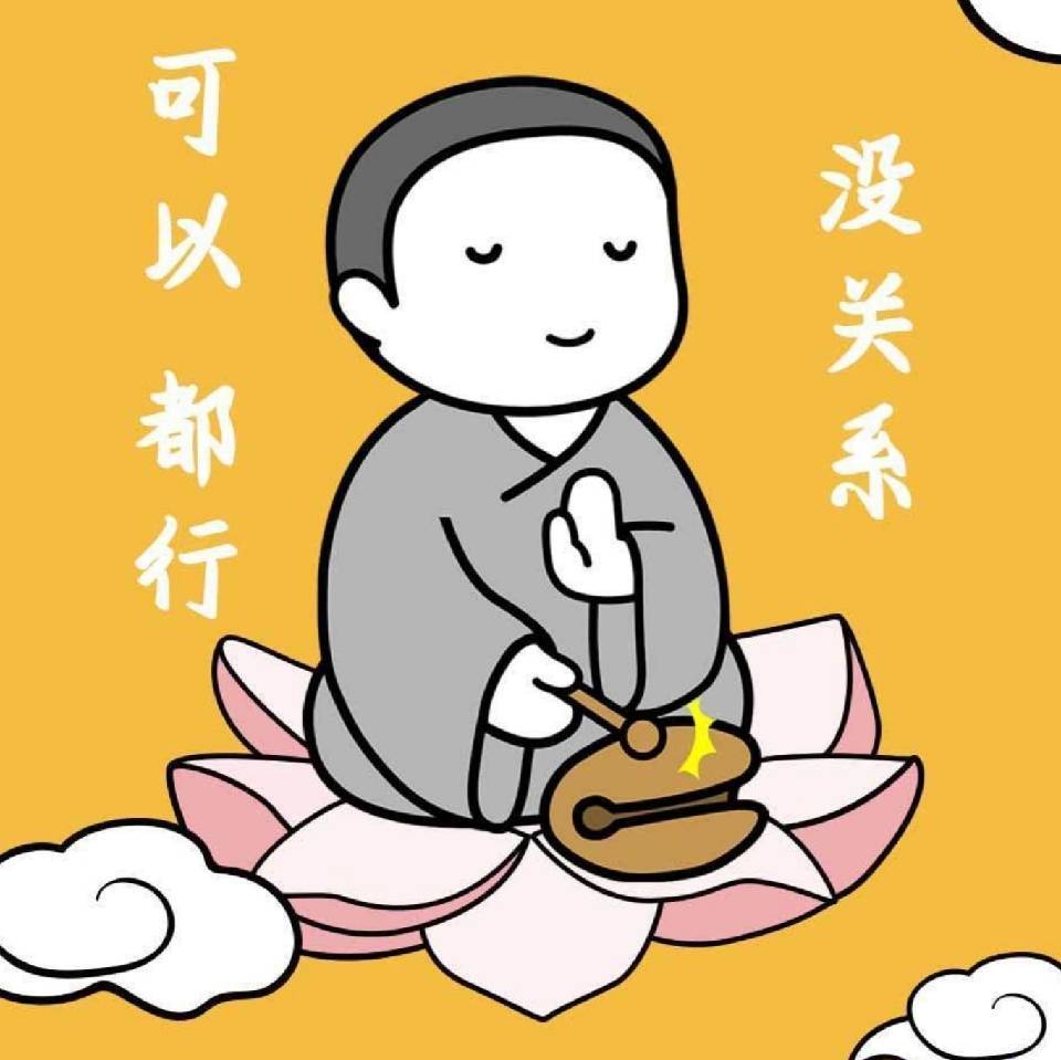 像花儿一样