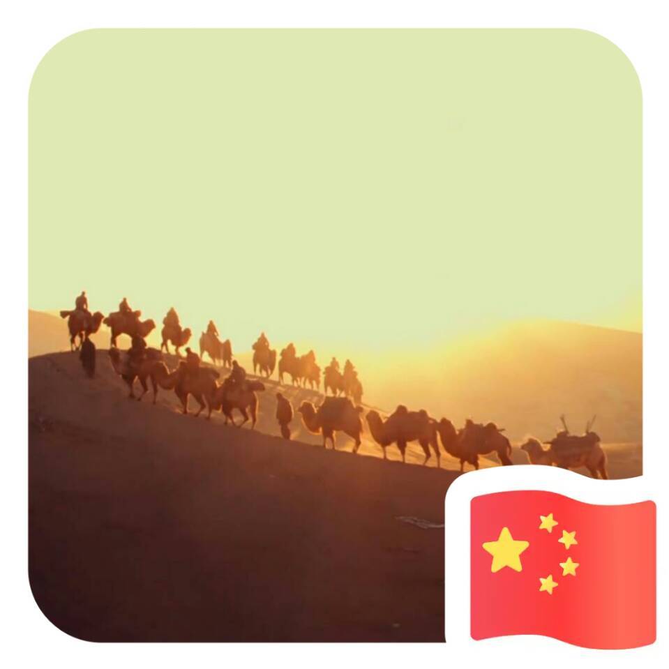 杨尚智