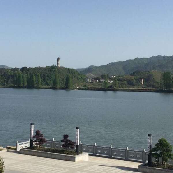 用戶頭像