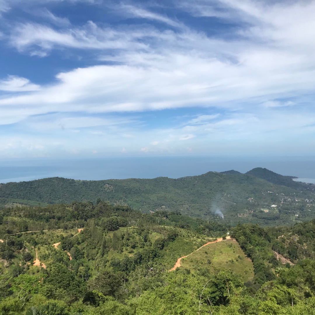 陶印
