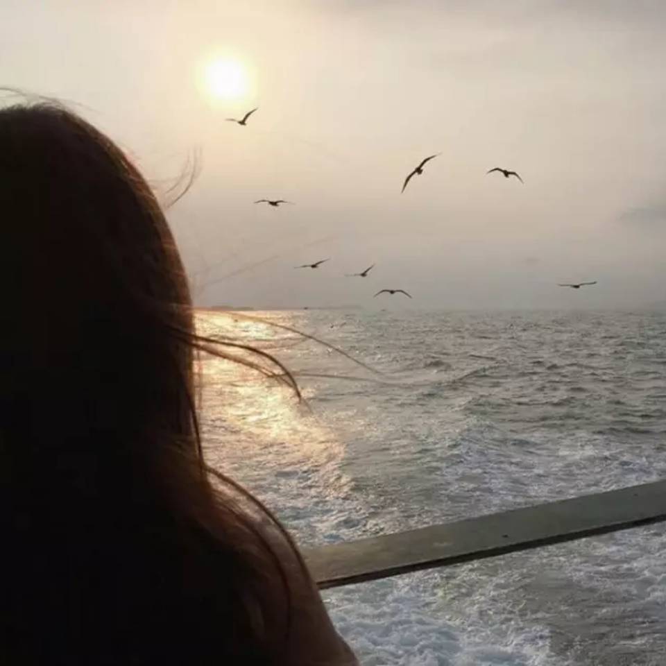 飘