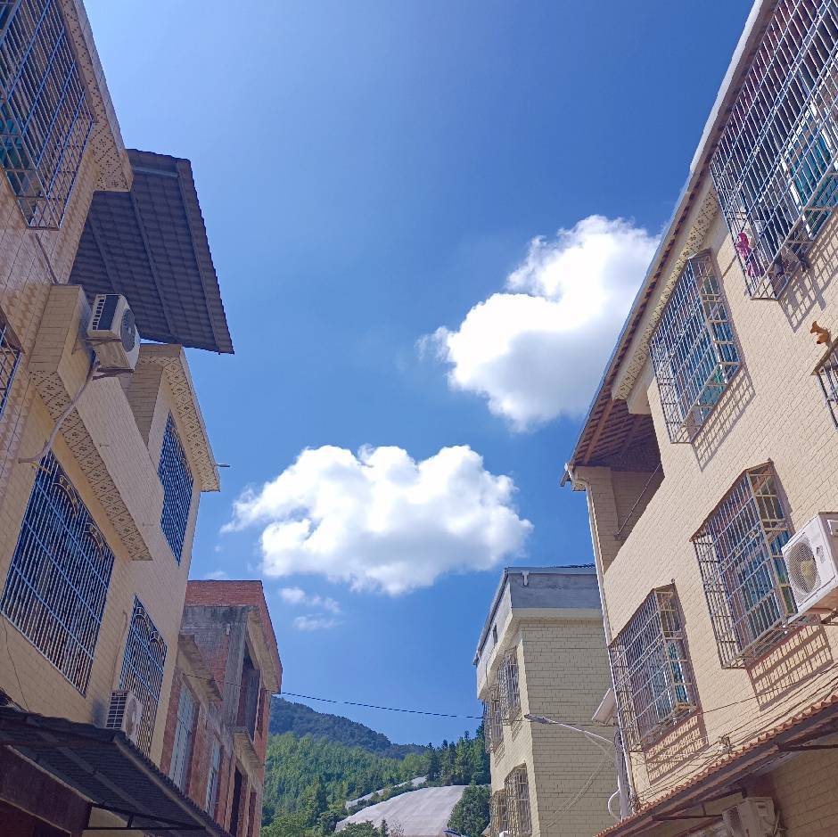 你的眼里曾闪着光