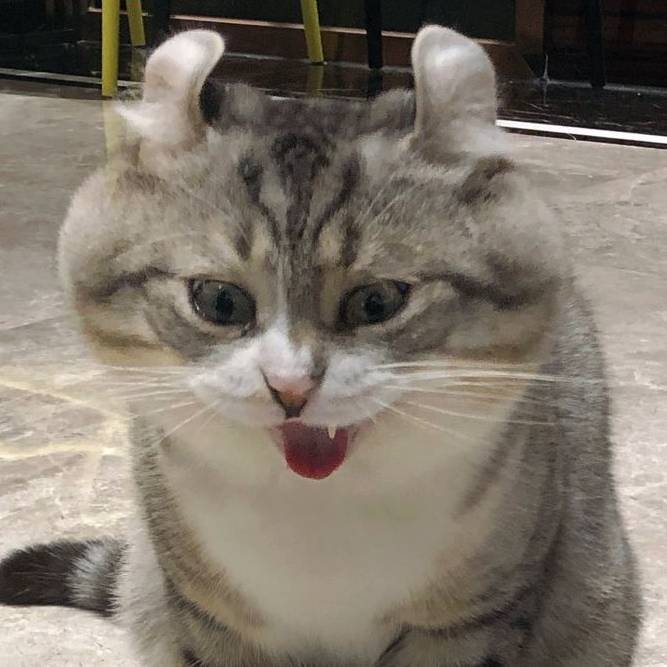 瓜秋初五