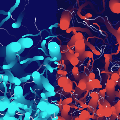 广州青羽网络科技有限公司