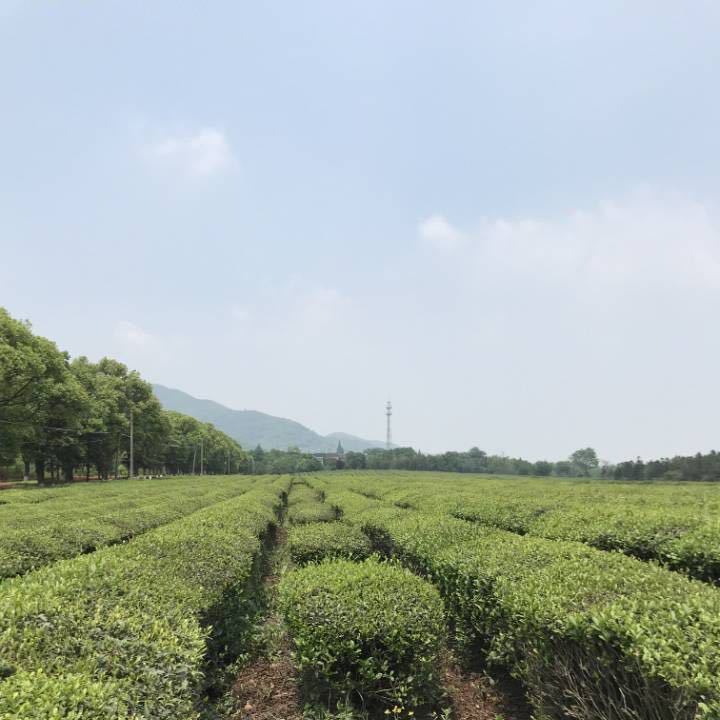 与时俱进