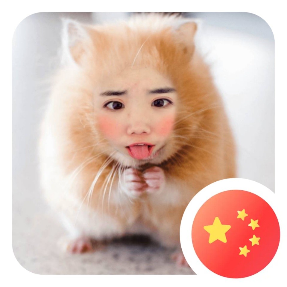 大肉丸子