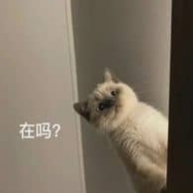 红桃A