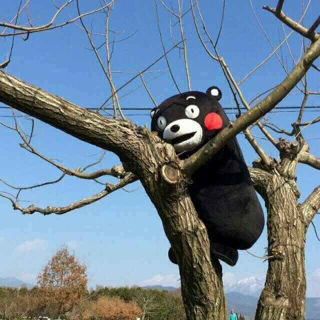 王的是不是准？