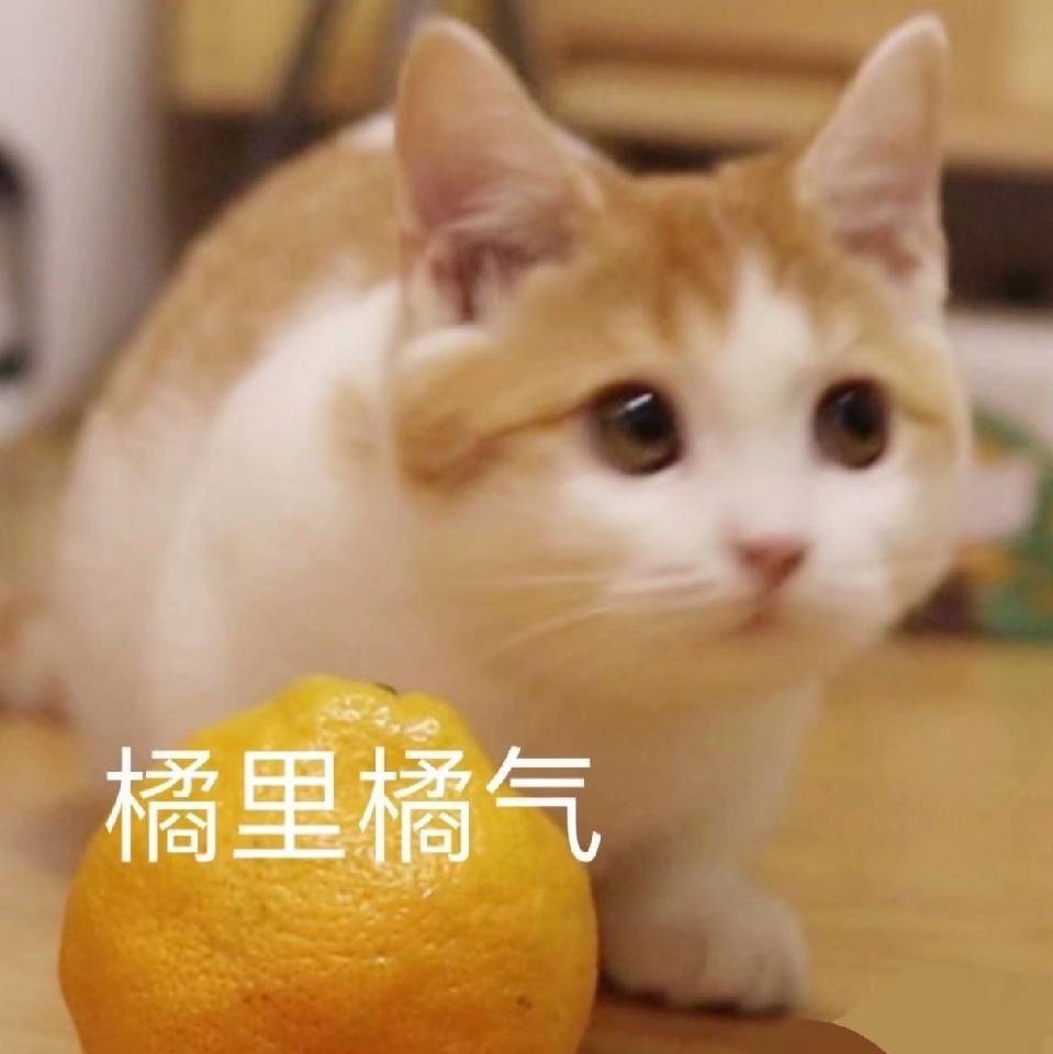 S.