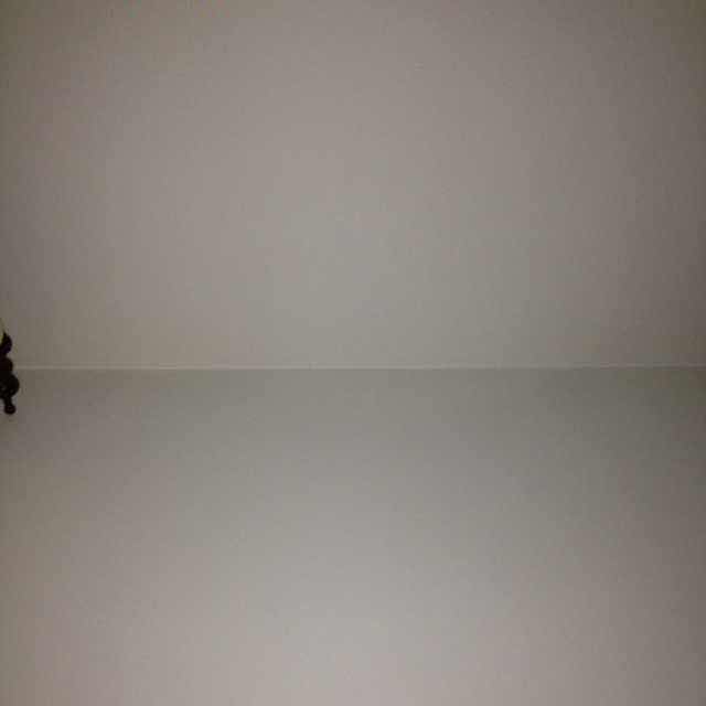 儒
