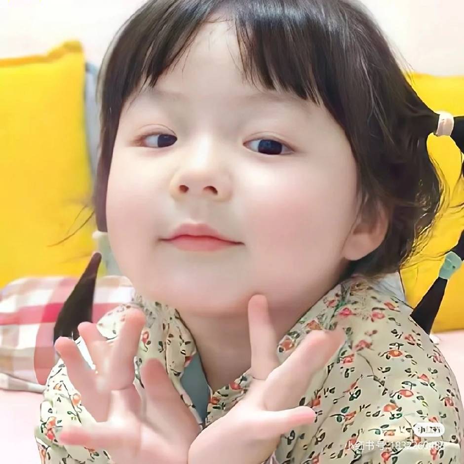 苜苜