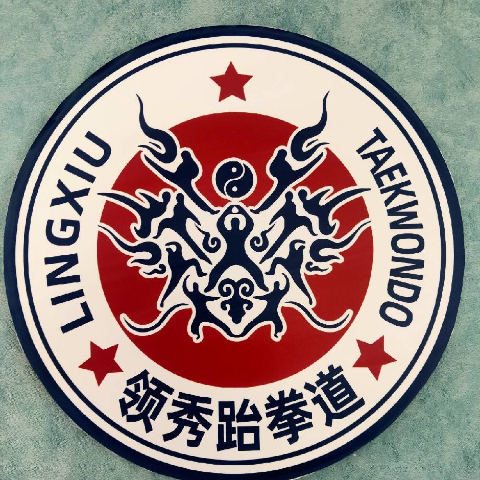 领秀跆拳道Mr wu