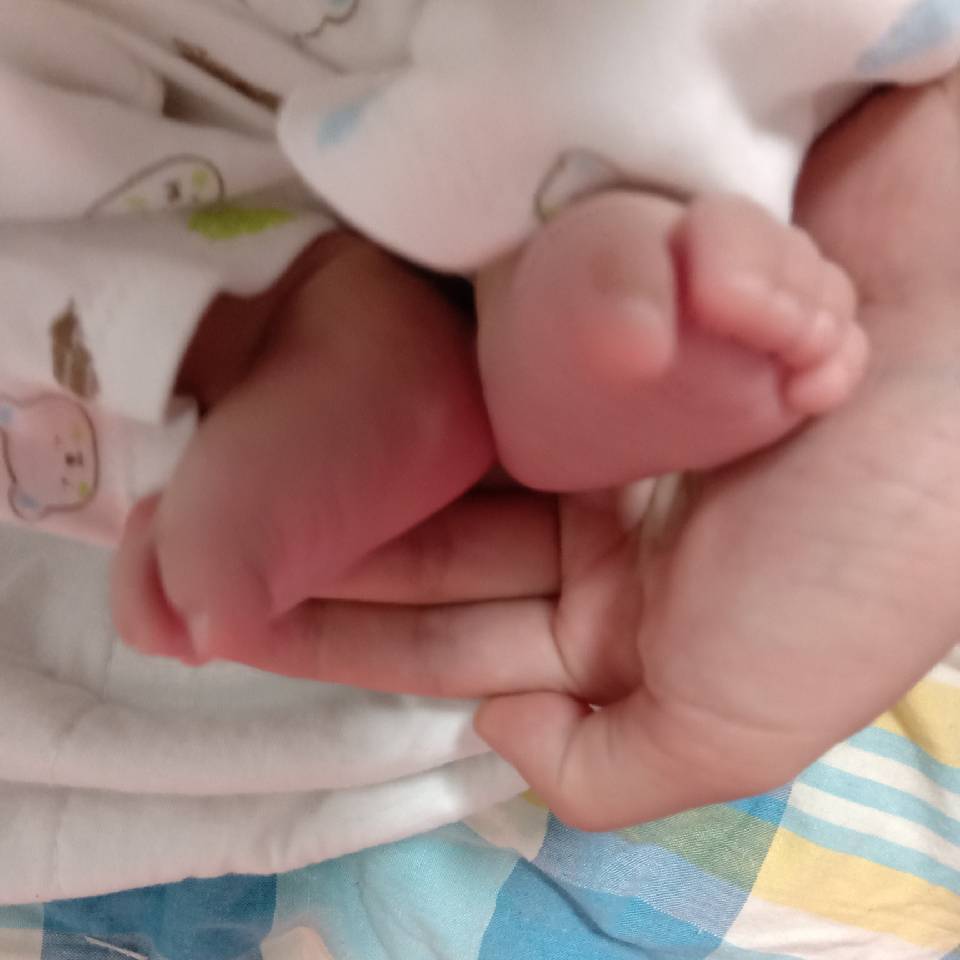 何婷婷