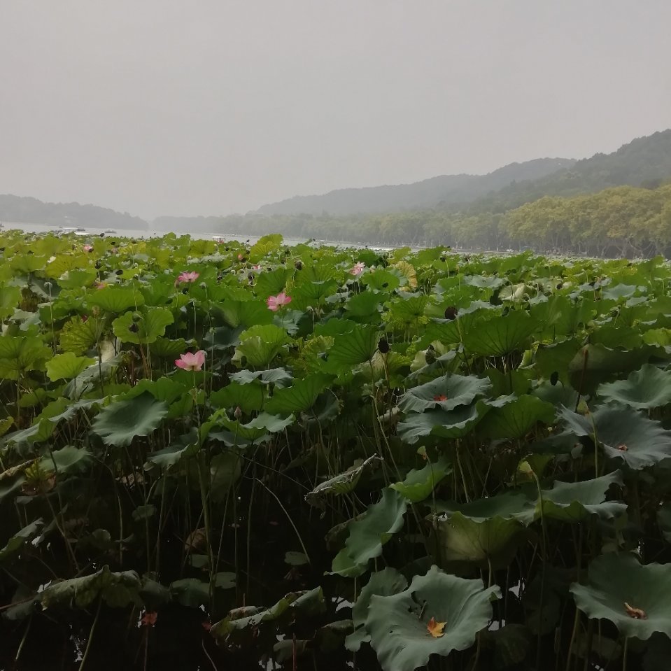 用戶頭像