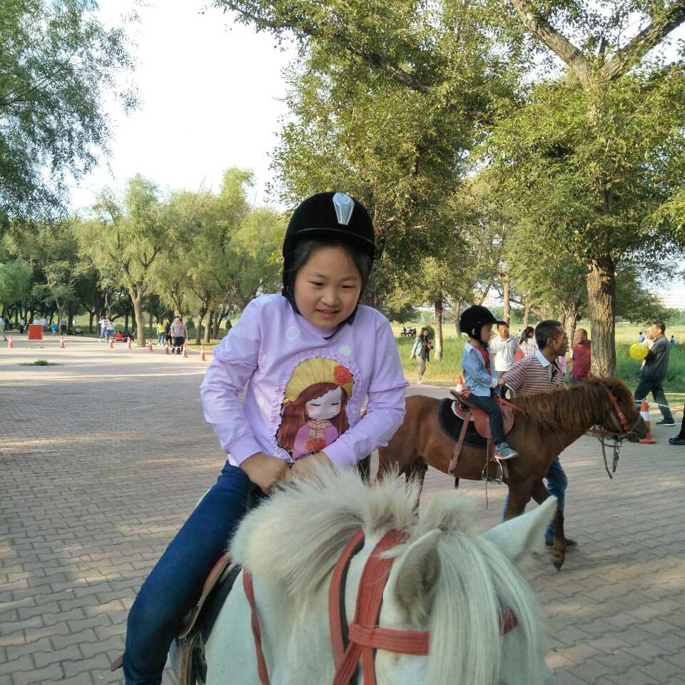 闹闹酱香饼