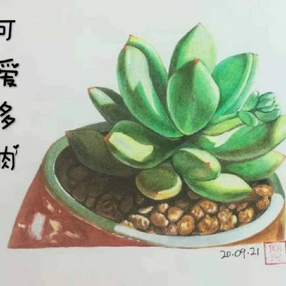 杨子